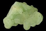 Botryoidal Green Prehnite Formation - Patterson, New Jersey #142475-1